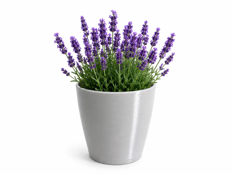 Minimal Lavender Planter