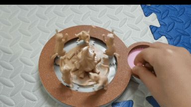 圣火喵喵教