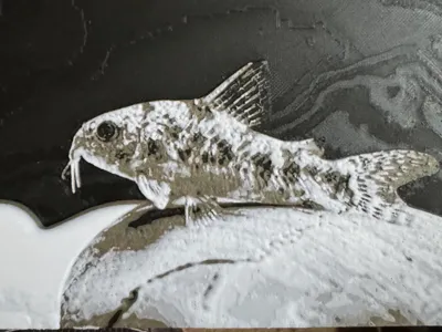 Peppered Cory Hueforge 
