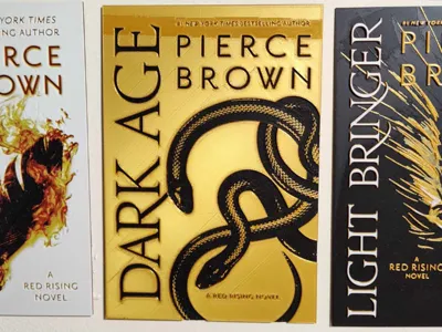 Dark Age Book Cover