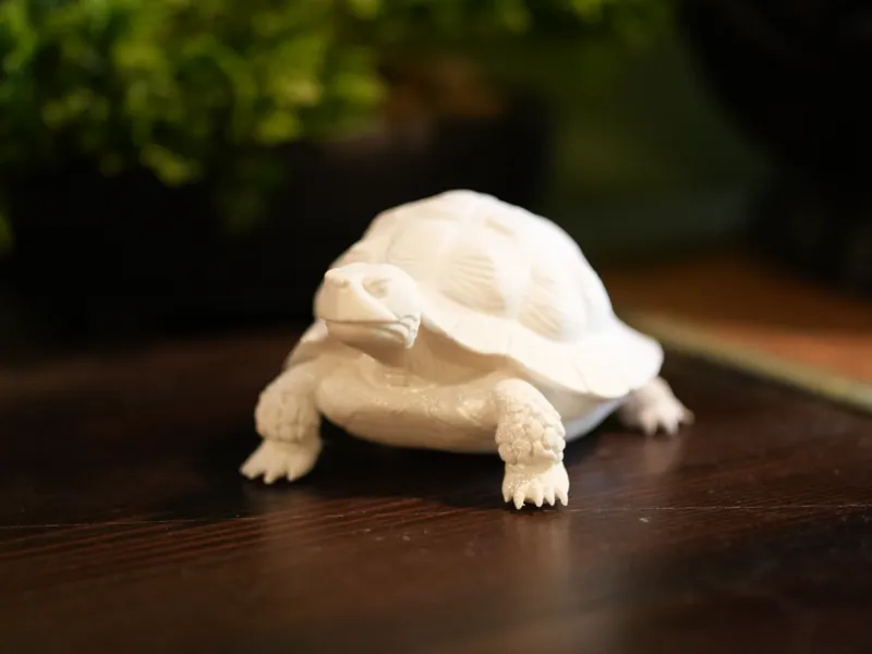 Turtle