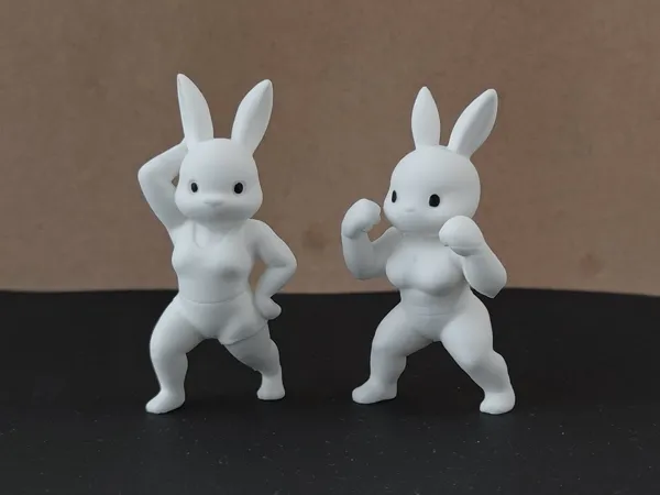 https://makerworld.bblmw.com/makerworld/model/US6f7af845aff90d/design/2025-11-14_4d8547e4bf9f.jpg