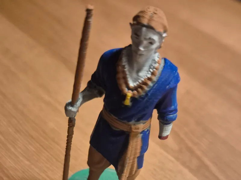 Monk with a staff