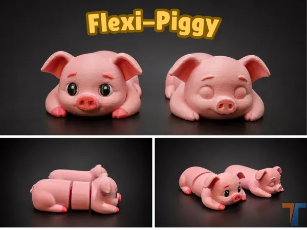 https://makerworld.bblmw.com/makerworld/model/US6f82cf580827a8/design/2b661b16ae90755f.png