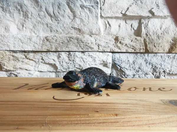 https://makerworld.bblmw.com/makerworld/model/US6f83bae9492b75/design/e1c68e11c973f682.jpg