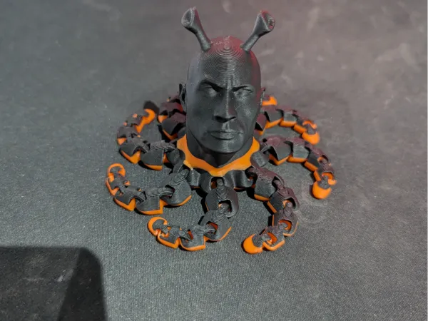 https://makerworld.bblmw.com/makerworld/model/US6f84f096f365fe/design/2024-12-30_e653b1ab4e9d5.jpg