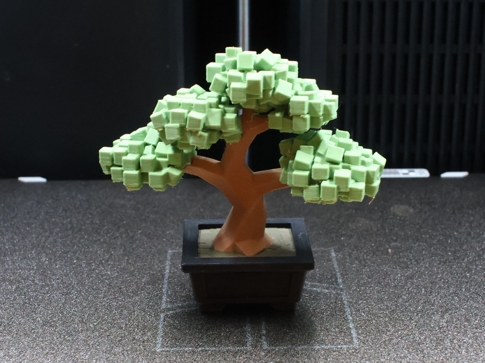 Geometric Bonsai Model