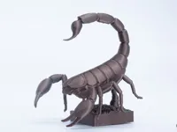 Decorative Scorpion