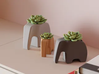 Elephant Plant pot. Great Succulent Planter