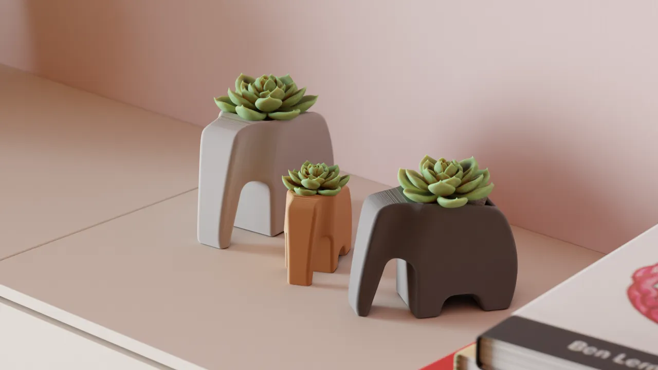 Elephant Plant pot. Great Succulent Planter view 2