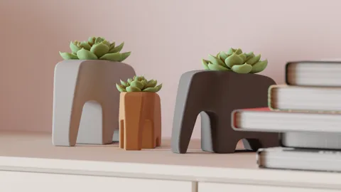 Elephant Plant pot. Great Succulent Planter view 3