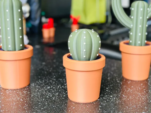 https://makerworld.bblmw.com/makerworld/model/US6f8ee0affbbdf/design/2024-07-01_622517afc4c9.jpg