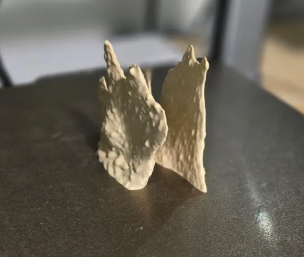 https://makerworld.bblmw.com/makerworld/model/US6f905b726b9879/design/2024-10-01_e66bd1ae4b01f.jpeg