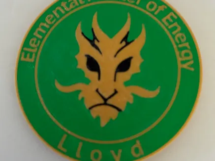 Lloyd Ninjago Token