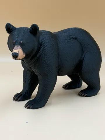 Tapa o cubierta: Shadow of the Forest – Black Bear — vista de referencia 2