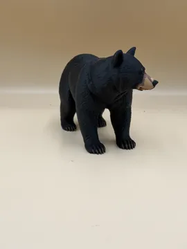 Tapa o cubierta: Shadow of the Forest – Black Bear — vista de referencia 3