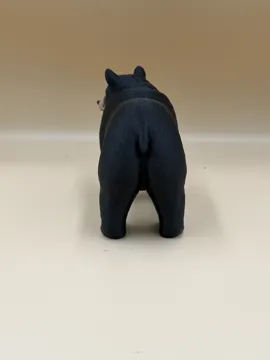 Tapa o cubierta: Shadow of the Forest – Black Bear — vista de referencia 5