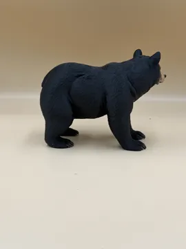 Tapa o cubierta: Shadow of the Forest – Black Bear — vista de referencia 4