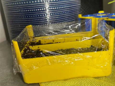 Mini Seedling Greenhouse