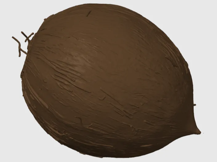Keychain coconut