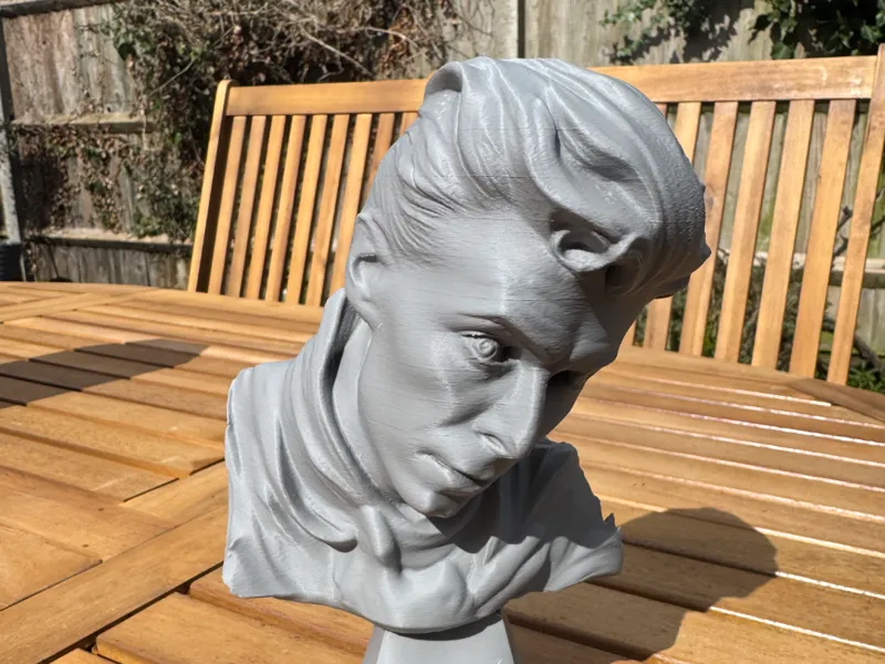 David Bowie - Heroes Bust