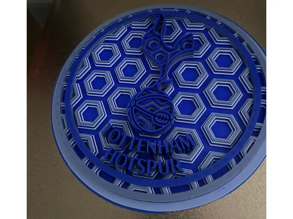 https://makerworld.bblmw.com/makerworld/model/US6fadcfc539eec1/design/2025-01-13_dddf28217b799.jpg