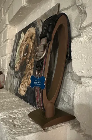 Dog Collar Display Stand