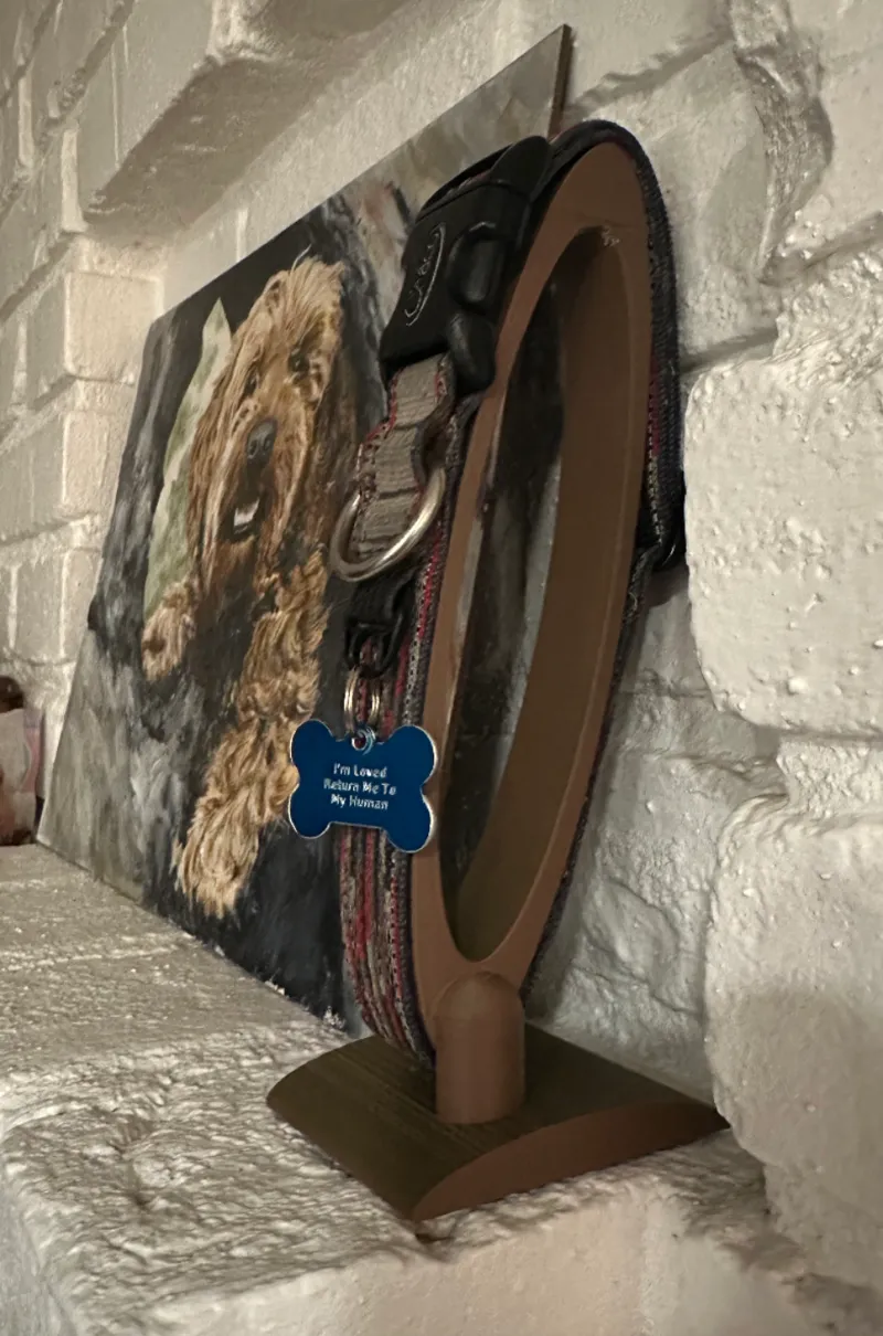 Dog Collar Display Stand