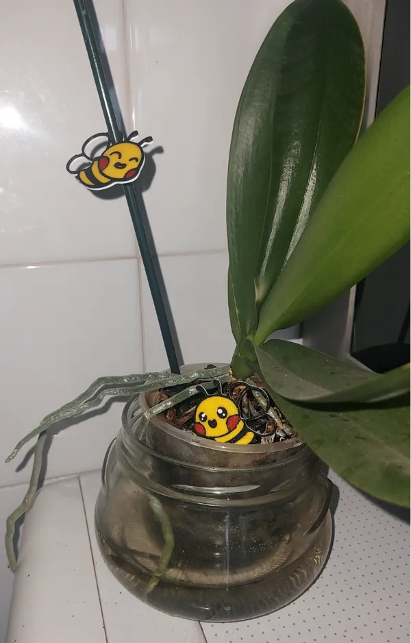 https://makerworld.bblmw.com/makerworld/model/US6fb22333123dcf/design/2024-11-03_cee249e0c8c7b.jpg