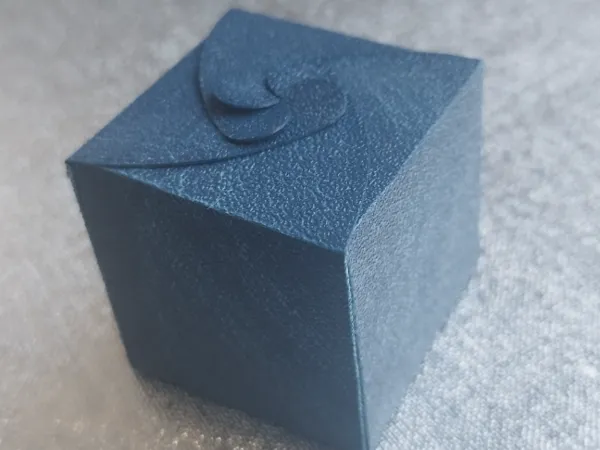 https://makerworld.bblmw.com/makerworld/model/US6fb26f72805b49/design/2024-07-15_6d1fab3d2983d.jpg
