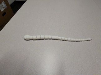 Simple articulated snake