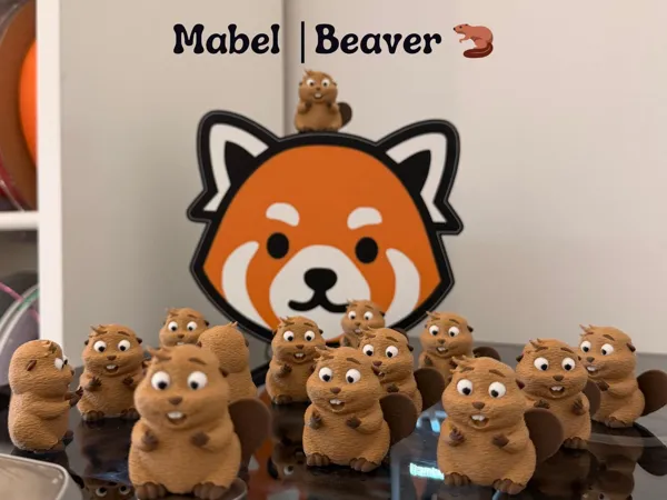 https://makerworld.bblmw.com/makerworld/model/US6fb89ca897eaf0/design/70a4dbd5234f5deb.jpeg