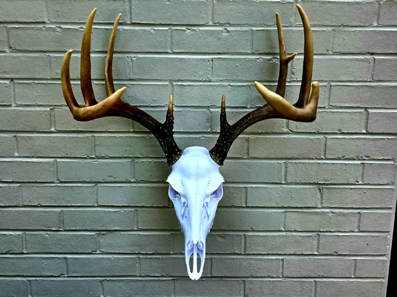 Whitetail Deer Skull - Fierce - BAS Antler Mount
