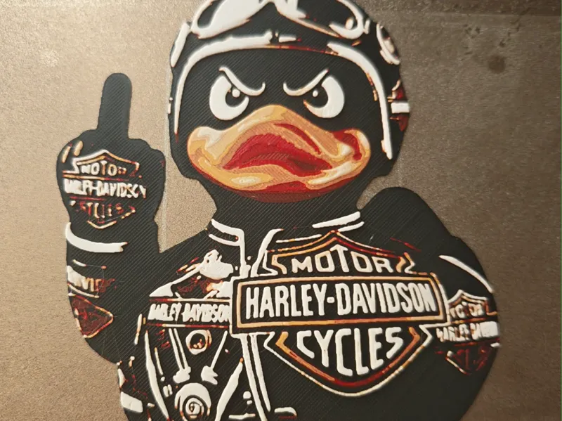Harley duck