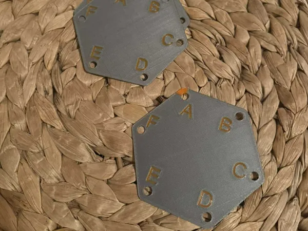 https://makerworld.bblmw.com/makerworld/model/US6fc502d84bb0ef/design/2024-12-19_bf179ab8ebf7e.jpg