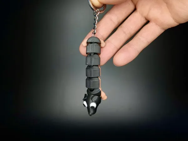 https://makerworld.bblmw.com/makerworld/model/US6fc79450f64db/design/2025-12-29_e95dc084594698.jpeg