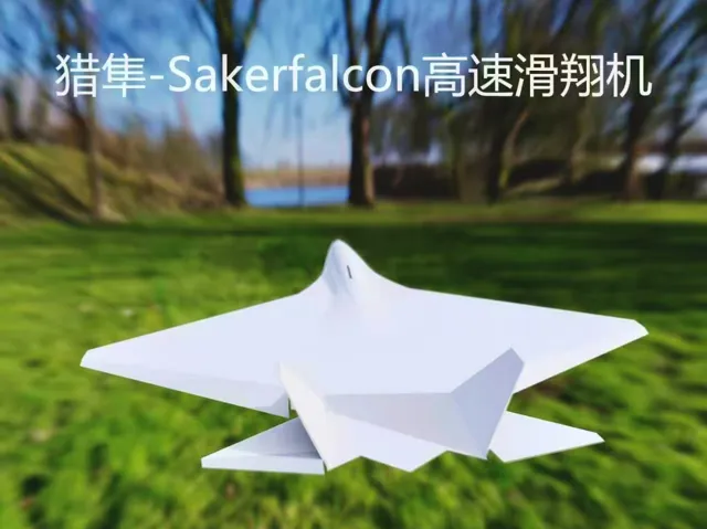 猎隼-高速后掠翼滑翔机（Saker Falcon）
