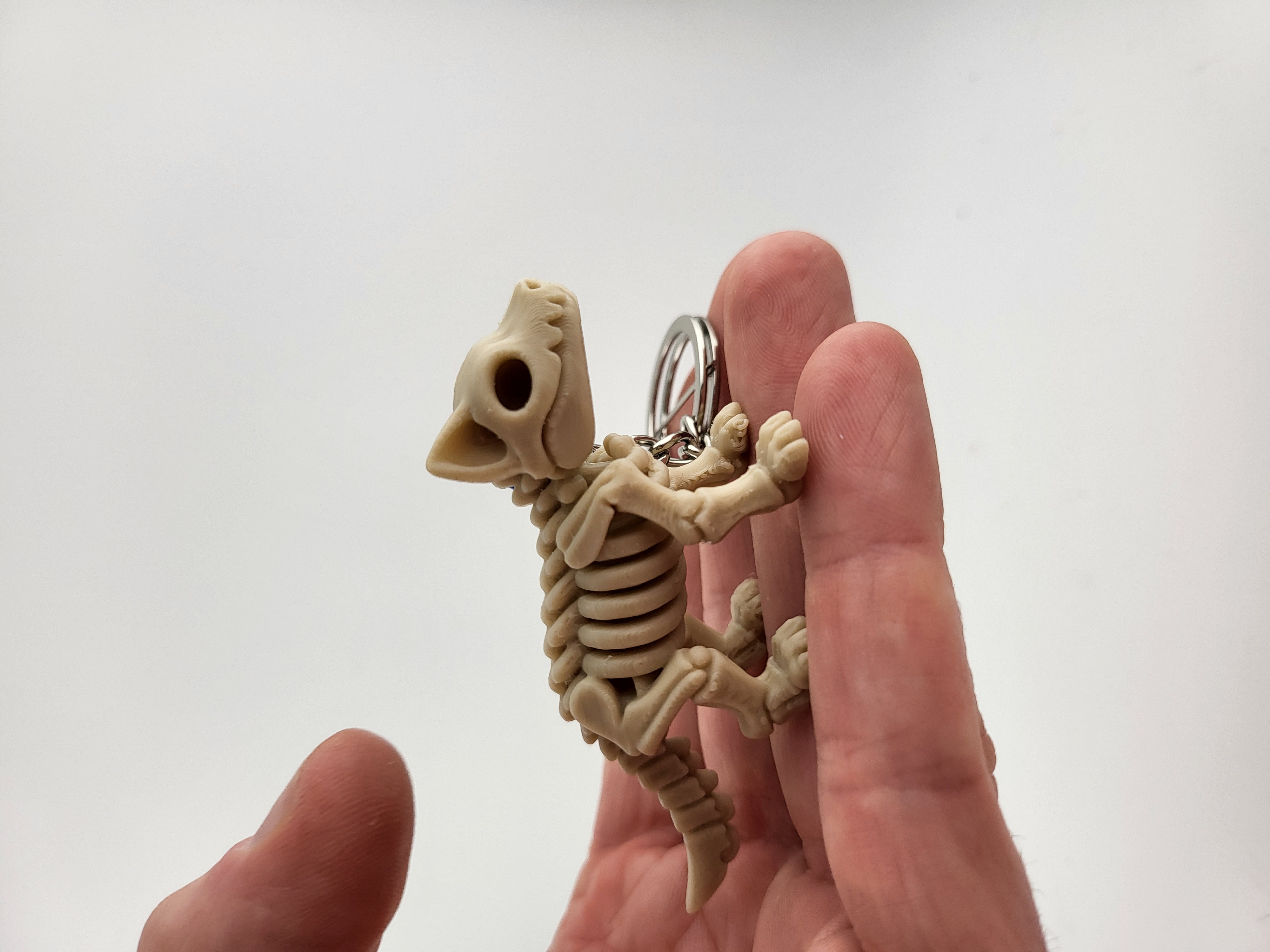 3Dプリント キツネの骨格キーホルダー – 3Dプリントされた動物の頭蓋骨