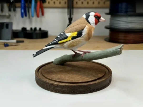 https://makerworld.bblmw.com/makerworld/model/US6fd334b6892996/design/b7b04d3fe0ea5b75.jpg
