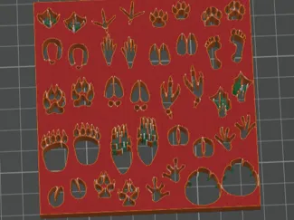 Animal footprints