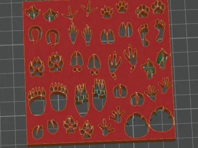 Animal footprints