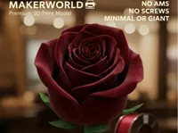 Rose, 10cm