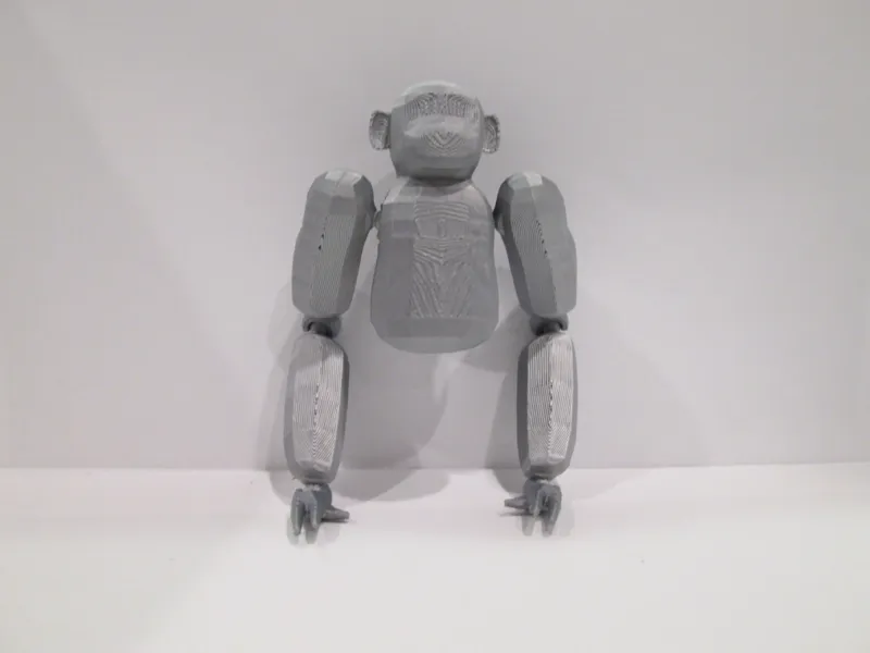 BABOON 13