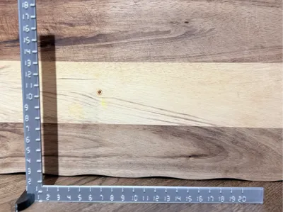 3D Model Photo scale ruler - 20 cm QUICK print 
