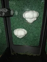Perchoir nuage pour araignées sauteuses — photo 4