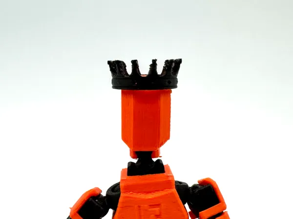 https://makerworld.bblmw.com/makerworld/model/US6fd99253c9de67/design/2025-05-09_016ff0c42f91e.jpg