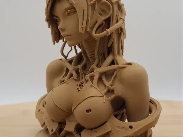 https://makerworld.bblmw.com/makerworld/model/US6fdc476e149223/design/51da36370def9b82.jpg