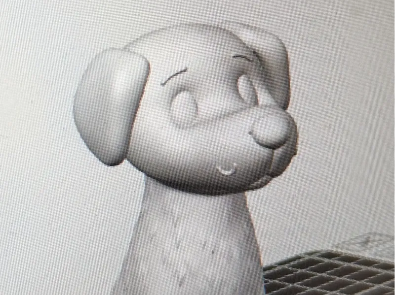 lizak dog