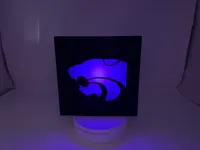 0.16mm layer, 2 walls, 100% infill