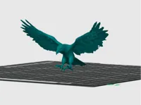 Aigle — photo 2